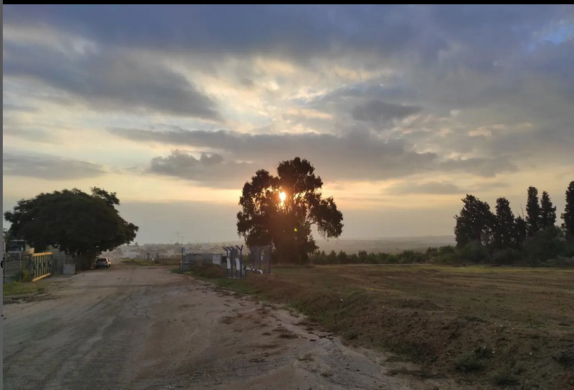 Screenshot-2023-11-05-at-11-04-43-sam-shube-@samshube-•-Instagram-photos-and-videos